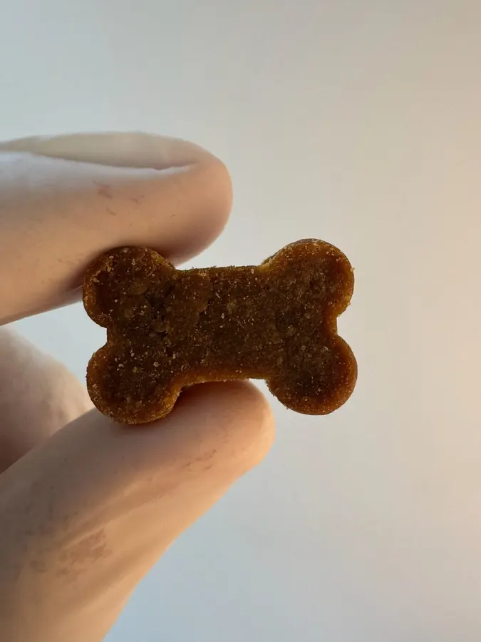 Biscoito medicamentoso veterinário